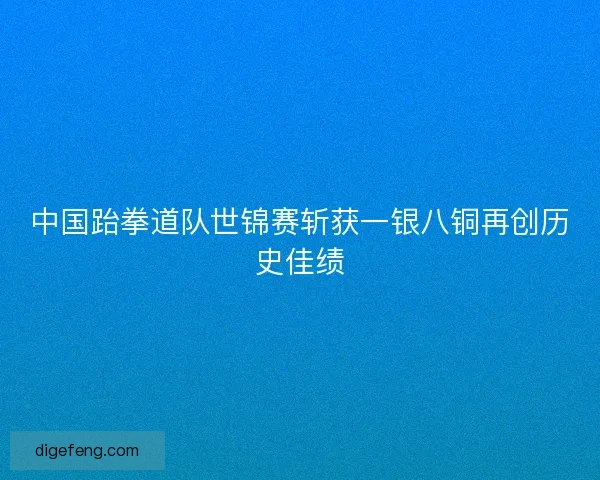 中国跆拳道队世锦赛斩获一银八铜再创历史佳绩