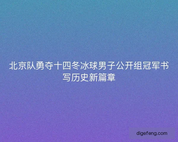 北京队勇夺十四冬冰球男子公开组冠军书写历史新篇章