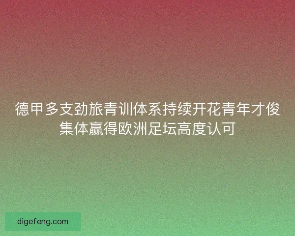 德甲多支劲旅青训体系持续开花青年才俊集体赢得欧洲足坛高度认可 德甲多支劲旅青训体系持续开花青年才俊集体赢得欧洲足坛高度认可